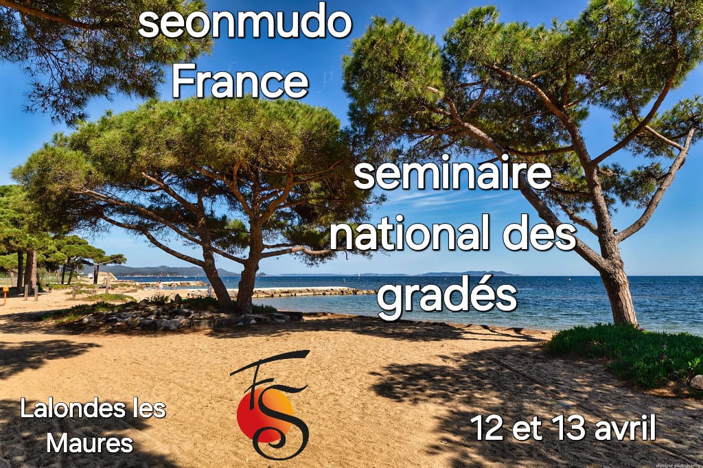 Séminaire annuel des ceintures noires   